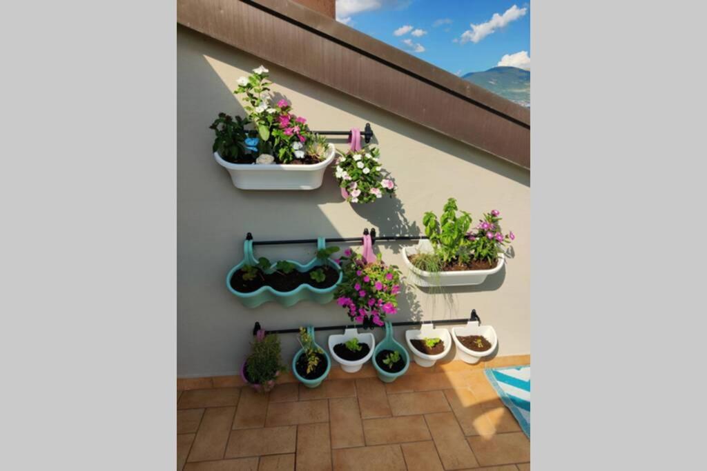 Assisi - Terrazzo Sulla Porziuncola Apartment Santa Maria Degli Angeli (Assisi)